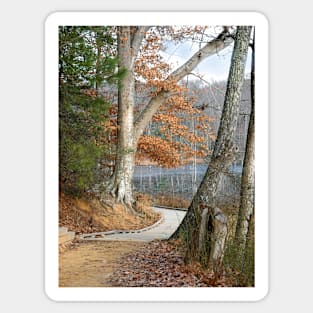 Trail Along the Beaver Pond Sticker